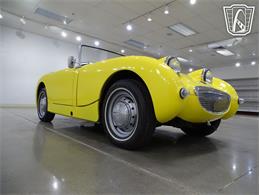 1959 Austin-Healey Bugeye (CC-2068411) for sale in O'Fallon, Illinois