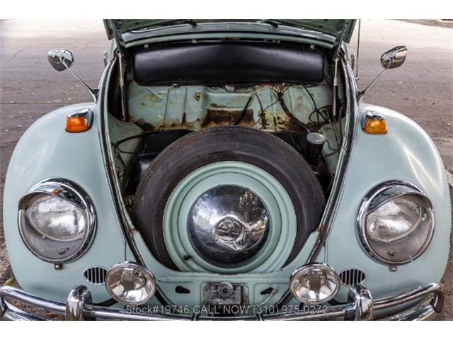 1964 Volkswagen Beetle (CC-2068416) for sale in Beverly Hills, California