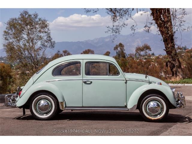 1964 Volkswagen Beetle (CC-2068416) for sale in Beverly Hills, California