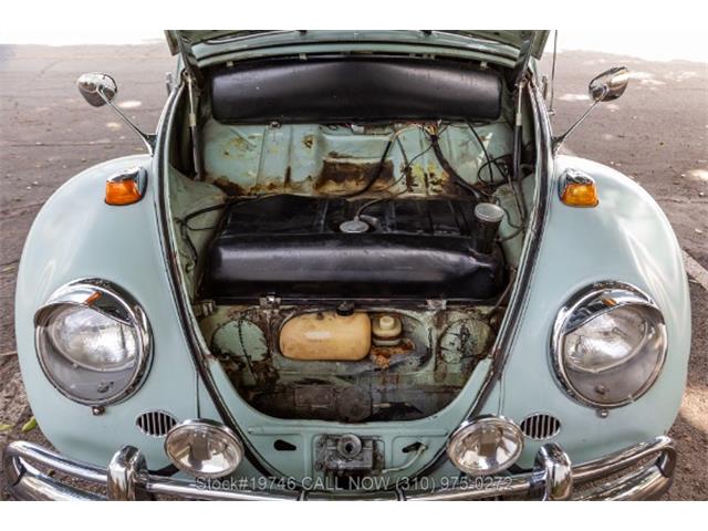1964 Volkswagen Beetle (CC-2068416) for sale in Beverly Hills, California