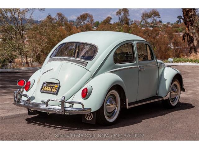 1964 Volkswagen Beetle (CC-2068416) for sale in Beverly Hills, California