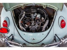 1964 Volkswagen Beetle (CC-2068416) for sale in Beverly Hills, California