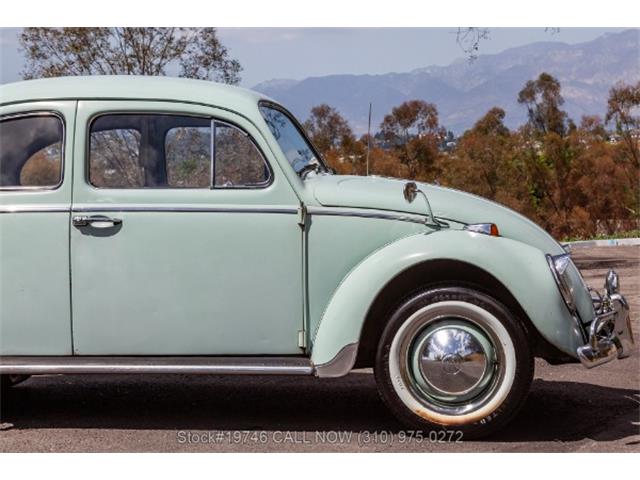 1964 Volkswagen Beetle (CC-2068416) for sale in Beverly Hills, California