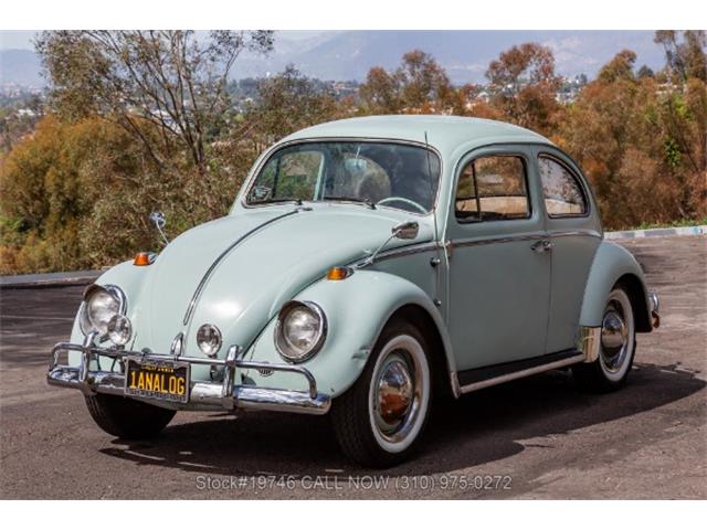 1964 Volkswagen Beetle (CC-2068416) for sale in Beverly Hills, California
