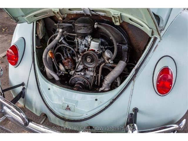 1964 Volkswagen Beetle (CC-2068416) for sale in Beverly Hills, California