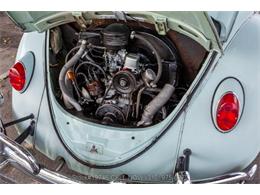 1964 Volkswagen Beetle (CC-2068416) for sale in Beverly Hills, California