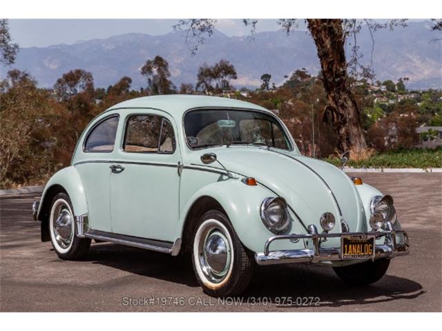 1964 Volkswagen Beetle (CC-2068416) for sale in Beverly Hills, California