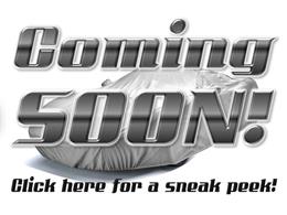 1962 Ford Thunderbird (CC-2068419) for sale in Volo, Illinois