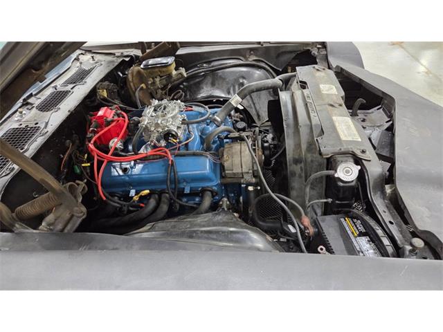 1981 Chevrolet Camaro (CC-2068424) for sale in Mankato, Minnesota