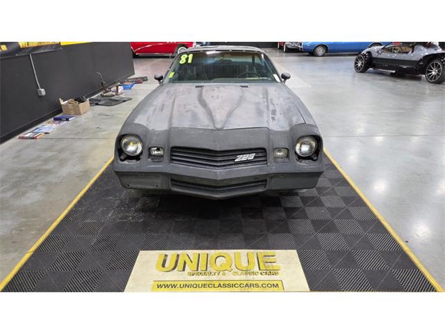 1981 Chevrolet Camaro (CC-2068424) for sale in Mankato, Minnesota