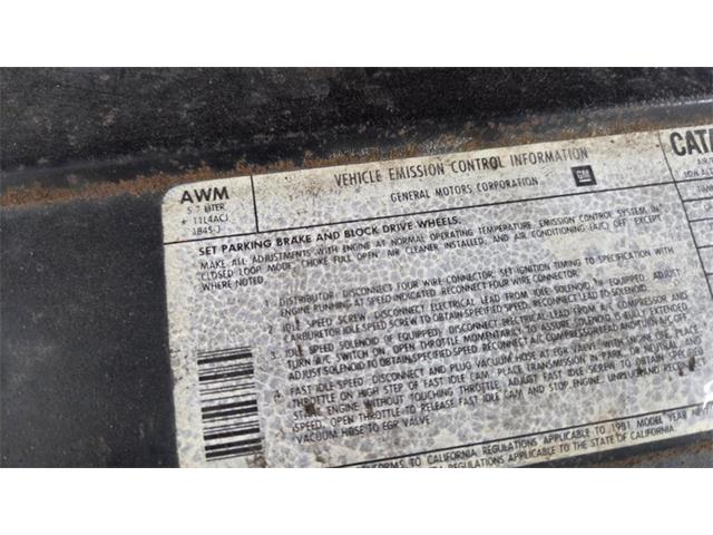 1981 Chevrolet Camaro (CC-2068424) for sale in Mankato, Minnesota