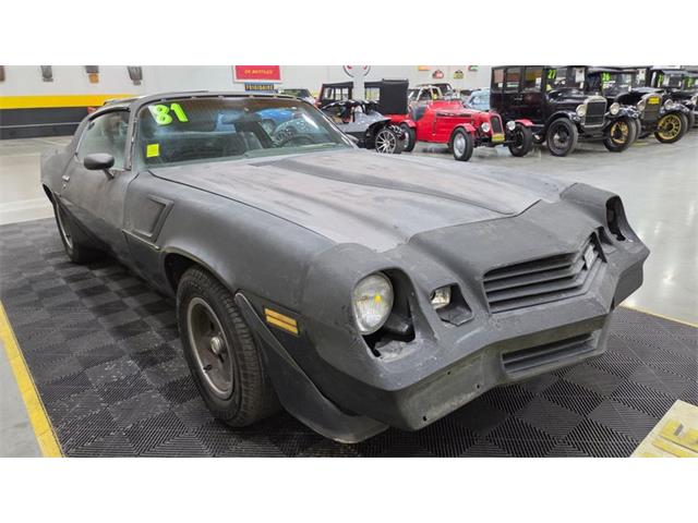 1981 Chevrolet Camaro (CC-2068424) for sale in Mankato, Minnesota