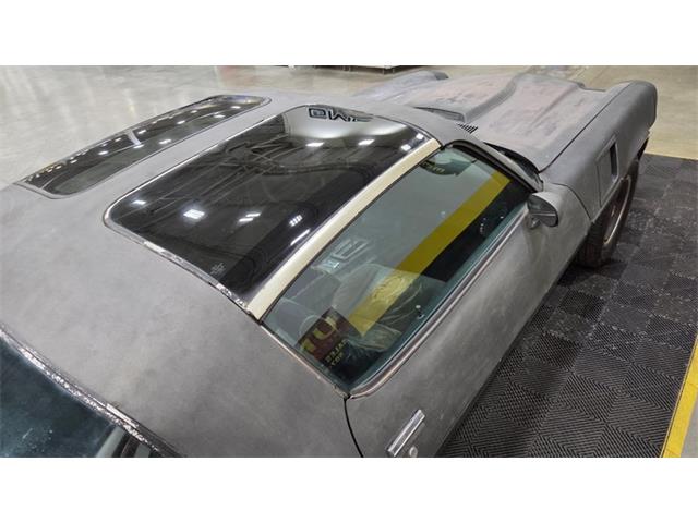 1981 Chevrolet Camaro (CC-2068424) for sale in Mankato, Minnesota