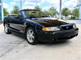 1995 Ford Mustang SVT Cobra (CC-2068426) for sale in Bradington, Florida