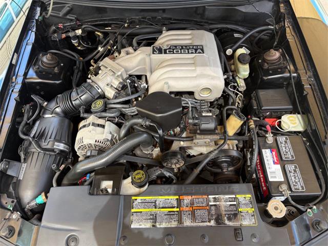 1995 Ford Mustang SVT Cobra (CC-2068426) for sale in Bradington, Florida