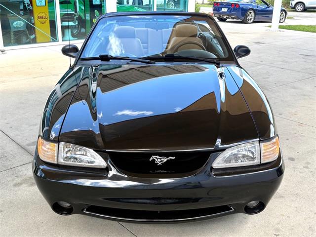 1995 Ford Mustang SVT Cobra (CC-2068426) for sale in Bradington, Florida
