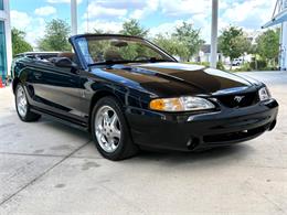 1995 Ford Mustang SVT Cobra (CC-2068426) for sale in Bradenton, Florida