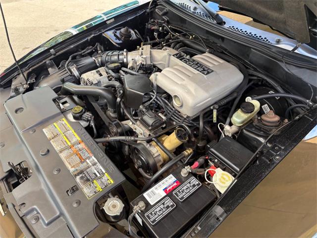 1995 Ford Mustang SVT Cobra (CC-2068426) for sale in Bradenton, Florida