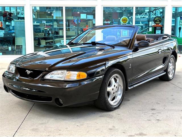 1995 Ford Mustang SVT Cobra (CC-2068426) for sale in Bradenton, Florida