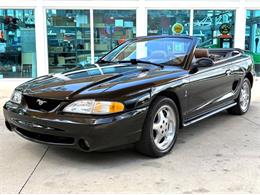 1995 Ford Mustang SVT Cobra (CC-2068426) for sale in Bradenton, Florida
