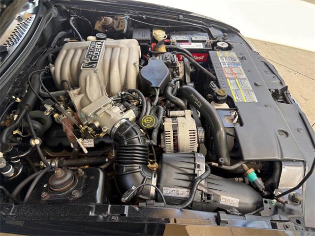 1995 Ford Mustang SVT Cobra (CC-2068426) for sale in Bradenton, Florida