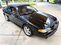 1995 Ford Mustang SVT Cobra (CC-2068426) for sale in Bradenton, Florida
