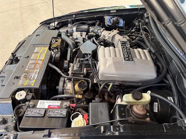 1995 Ford Mustang SVT Cobra (CC-2068426) for sale in Bradenton, Florida