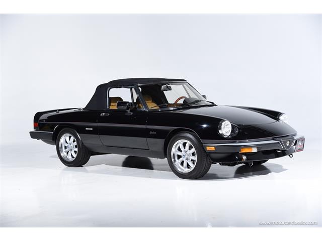 1988 Alfa Romeo Spider (CC-2068484) for sale in Farmingdale, New York