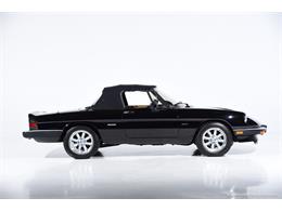 1988 Alfa Romeo Spider (CC-2068484) for sale in Farmingdale, New York