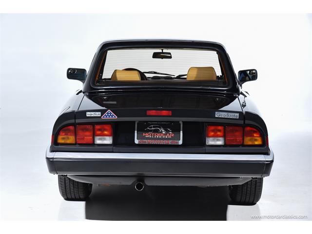 1988 Alfa Romeo Spider (CC-2068484) for sale in Farmingdale, New York