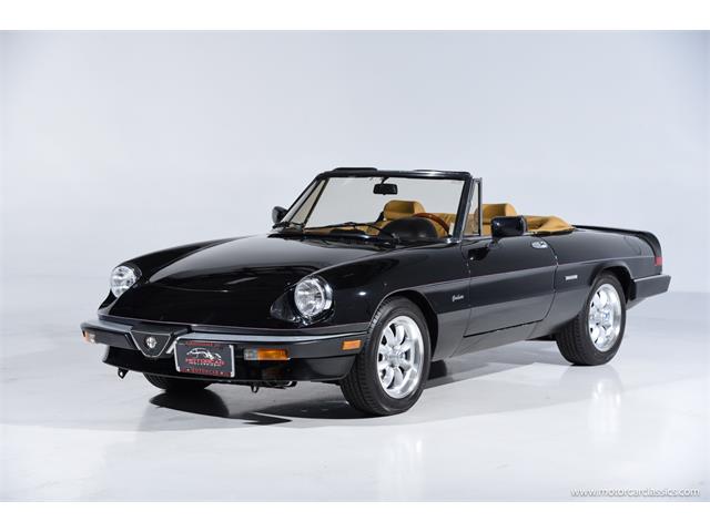 1988 Alfa Romeo Spider (CC-2068484) for sale in Farmingdale, New York