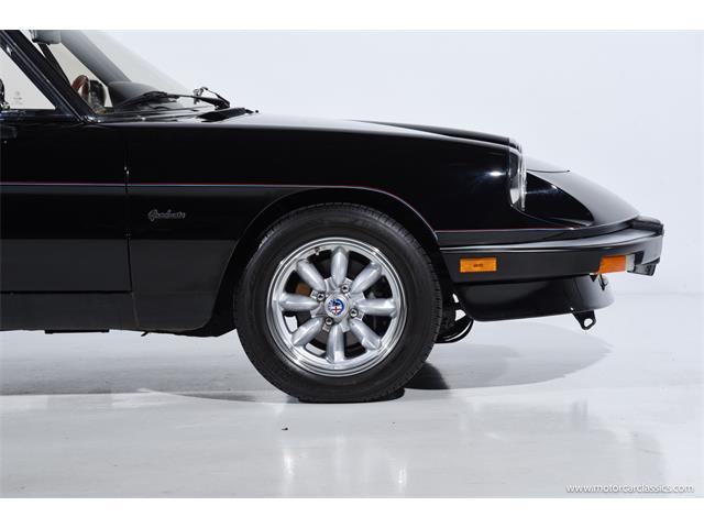 1988 Alfa Romeo Spider (CC-2068484) for sale in Farmingdale, New York