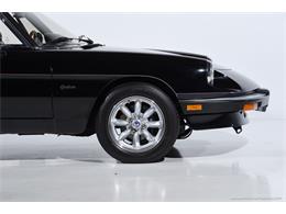 1988 Alfa Romeo Spider (CC-2068484) for sale in Farmingdale, New York