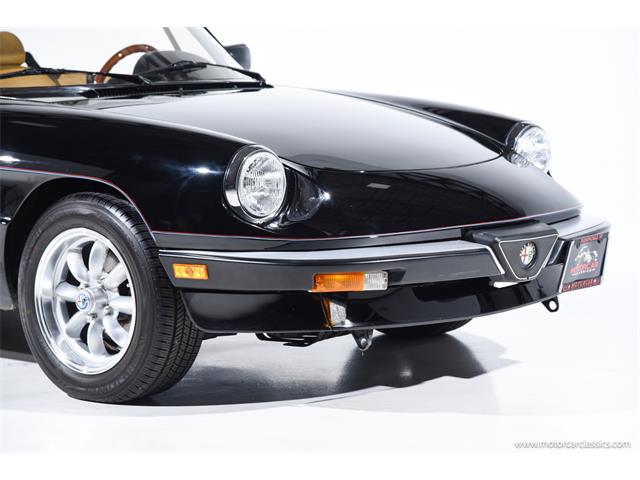 1988 Alfa Romeo Spider (CC-2068484) for sale in Farmingdale, New York