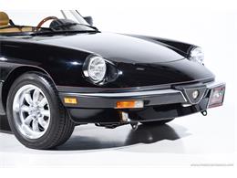 1988 Alfa Romeo Spider (CC-2068484) for sale in Farmingdale, New York