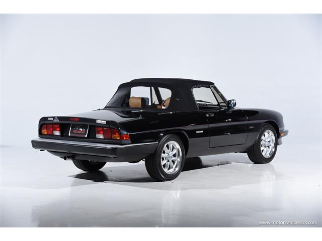 1988 Alfa Romeo Spider (CC-2068484) for sale in Farmingdale, New York