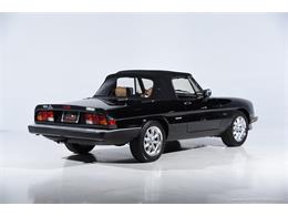 1988 Alfa Romeo Spider (CC-2068484) for sale in Farmingdale, New York