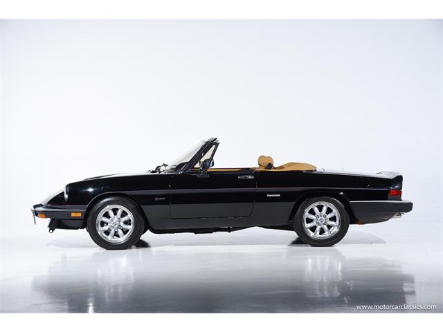 1988 Alfa Romeo Spider (CC-2068484) for sale in Farmingdale, New York