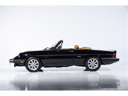 1988 Alfa Romeo Spider (CC-2068484) for sale in Farmingdale, New York