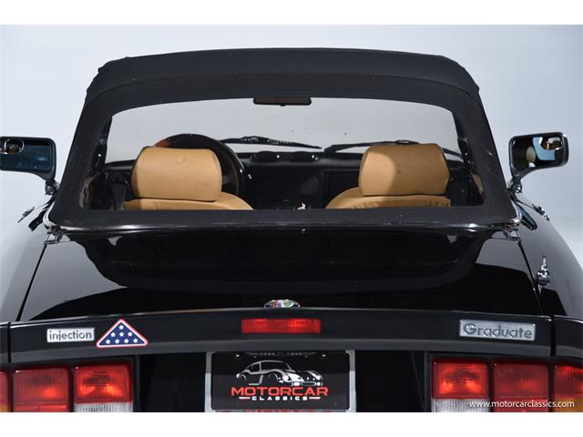 1988 Alfa Romeo Spider (CC-2068484) for sale in Farmingdale, New York