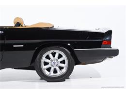1988 Alfa Romeo Spider (CC-2068484) for sale in Farmingdale, New York