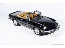 1988 Alfa Romeo Spider (CC-2068484) for sale in Farmingdale, New York
