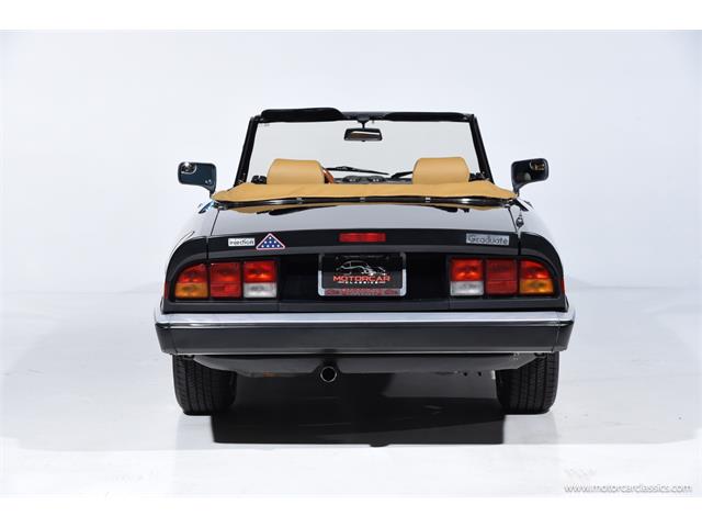 1988 Alfa Romeo Spider (CC-2068484) for sale in Farmingdale, New York