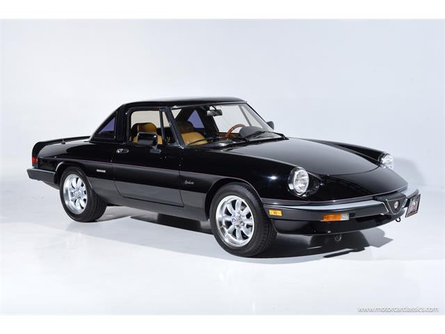 1988 Alfa Romeo Spider (CC-2068484) for sale in Farmingdale, New York