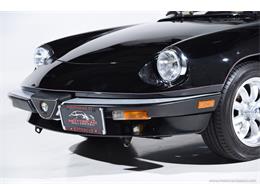 1988 Alfa Romeo Spider (CC-2068484) for sale in Farmingdale, New York