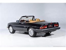 1988 Alfa Romeo Spider (CC-2068484) for sale in Farmingdale, New York