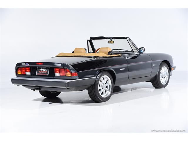 1988 Alfa Romeo Spider (CC-2068484) for sale in Farmingdale, New York