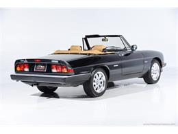1988 Alfa Romeo Spider (CC-2068484) for sale in Farmingdale, New York