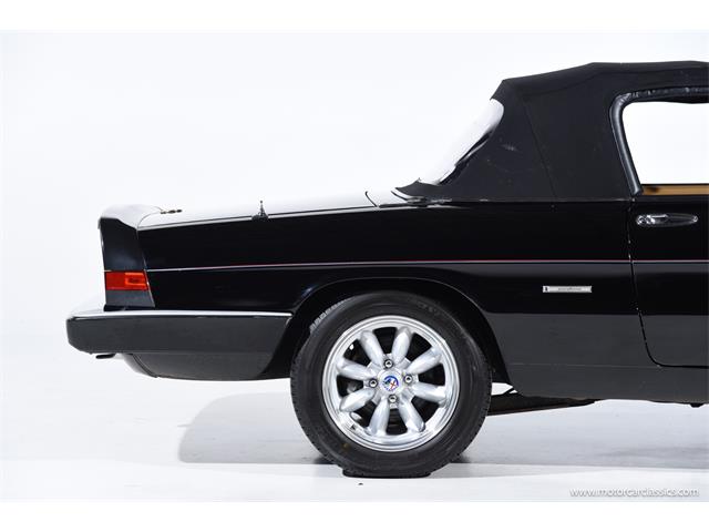 1988 Alfa Romeo Spider (CC-2068484) for sale in Farmingdale, New York