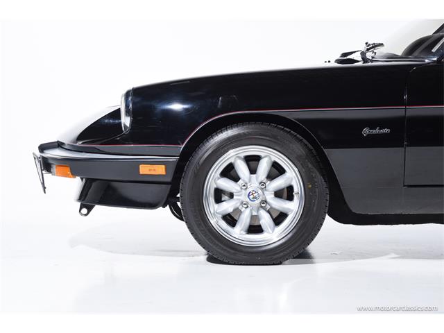 1988 Alfa Romeo Spider (CC-2068484) for sale in Farmingdale, New York